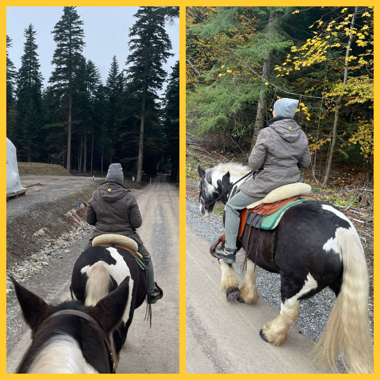 2023 11 November 591